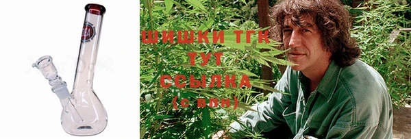 гашик Бикин